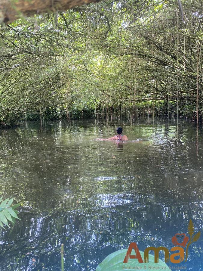 Ama Ecolodge Misahualli Экстерьер фото